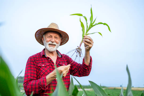 Produtor rural no campo